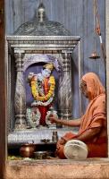 Shri Venugopal Sannidhih